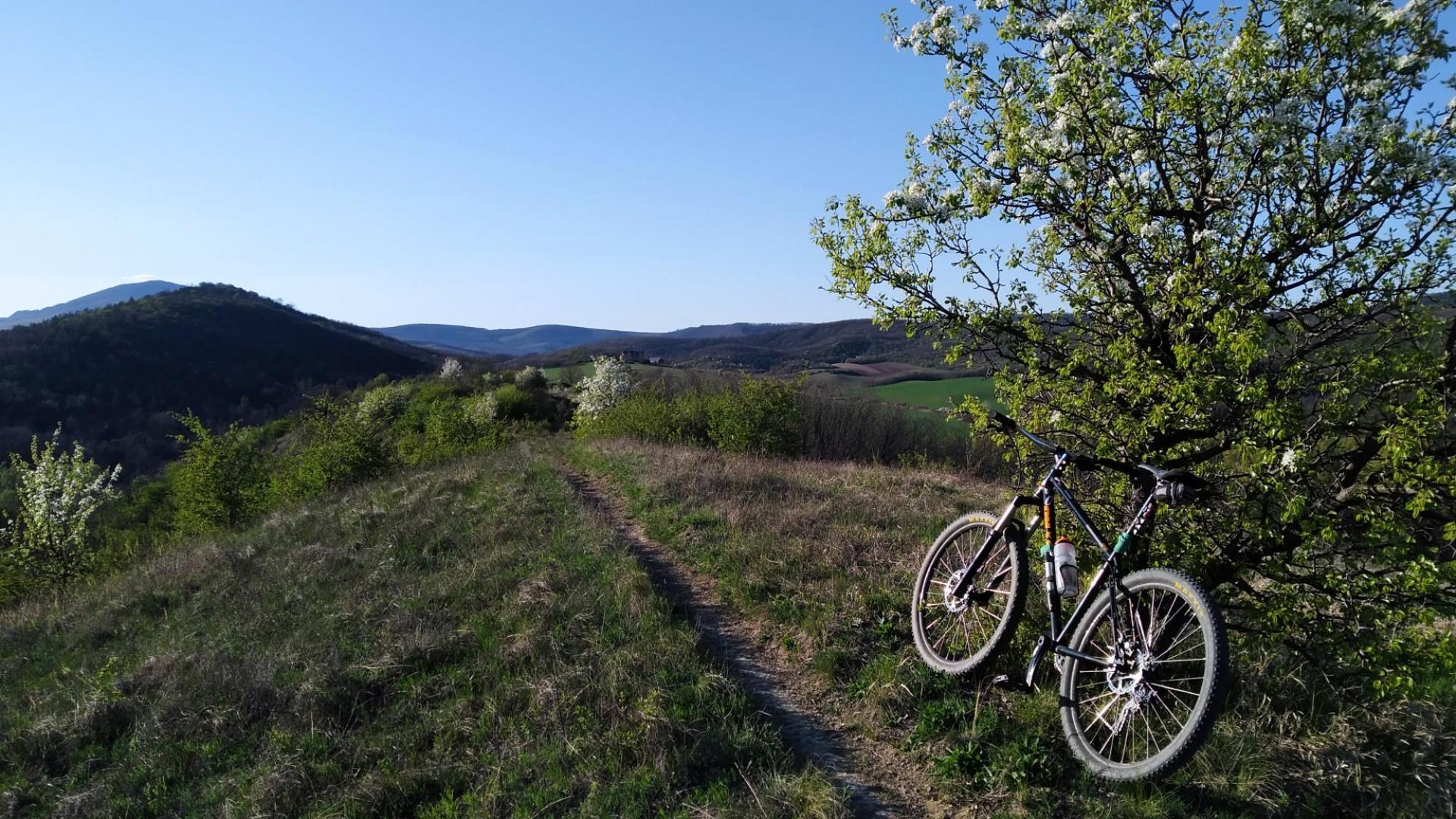 69d698b4f0f730720b433887.jpg?width=2000&