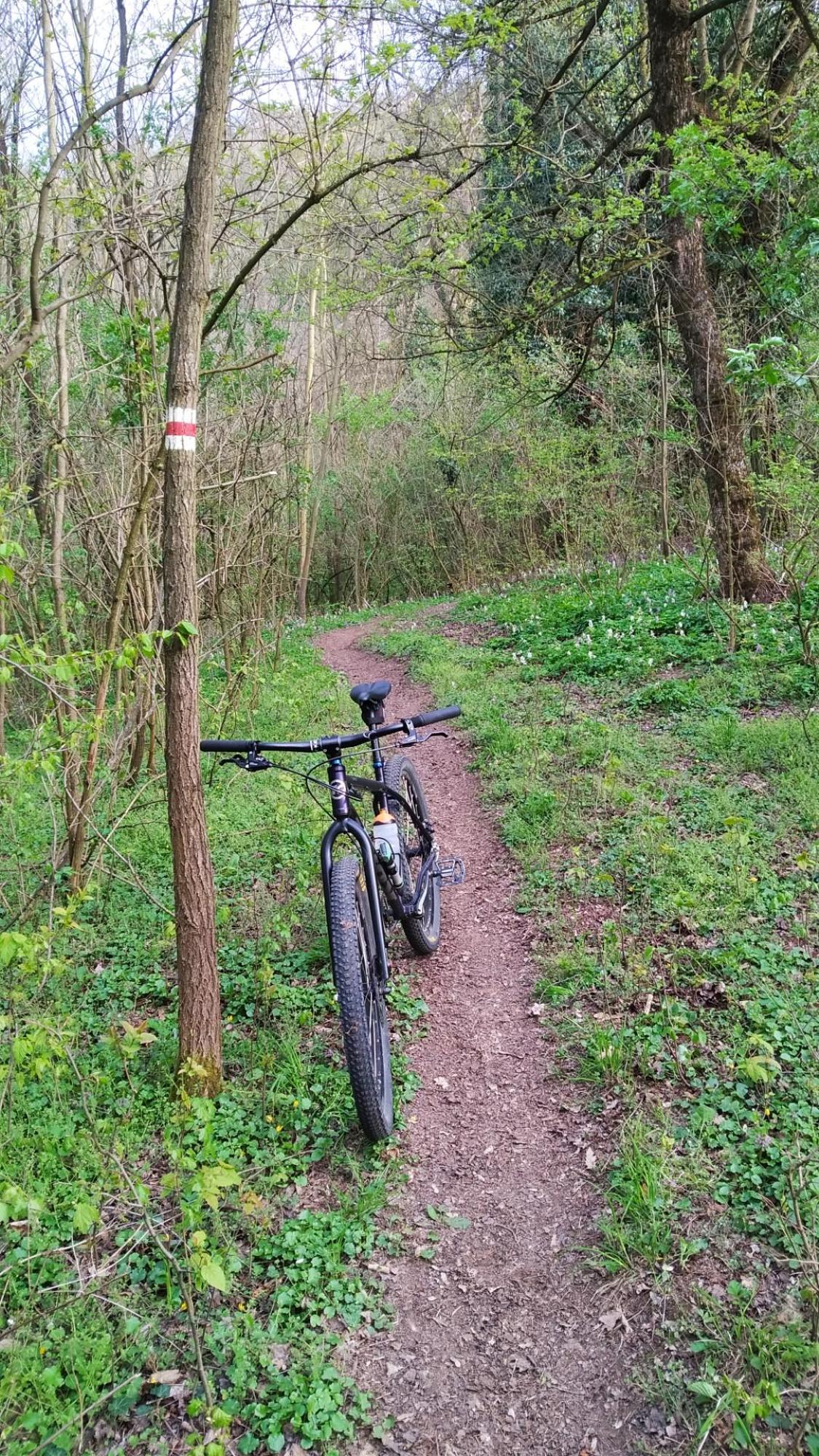 69dbce45c002794314c37e37.jpg?width=2000&