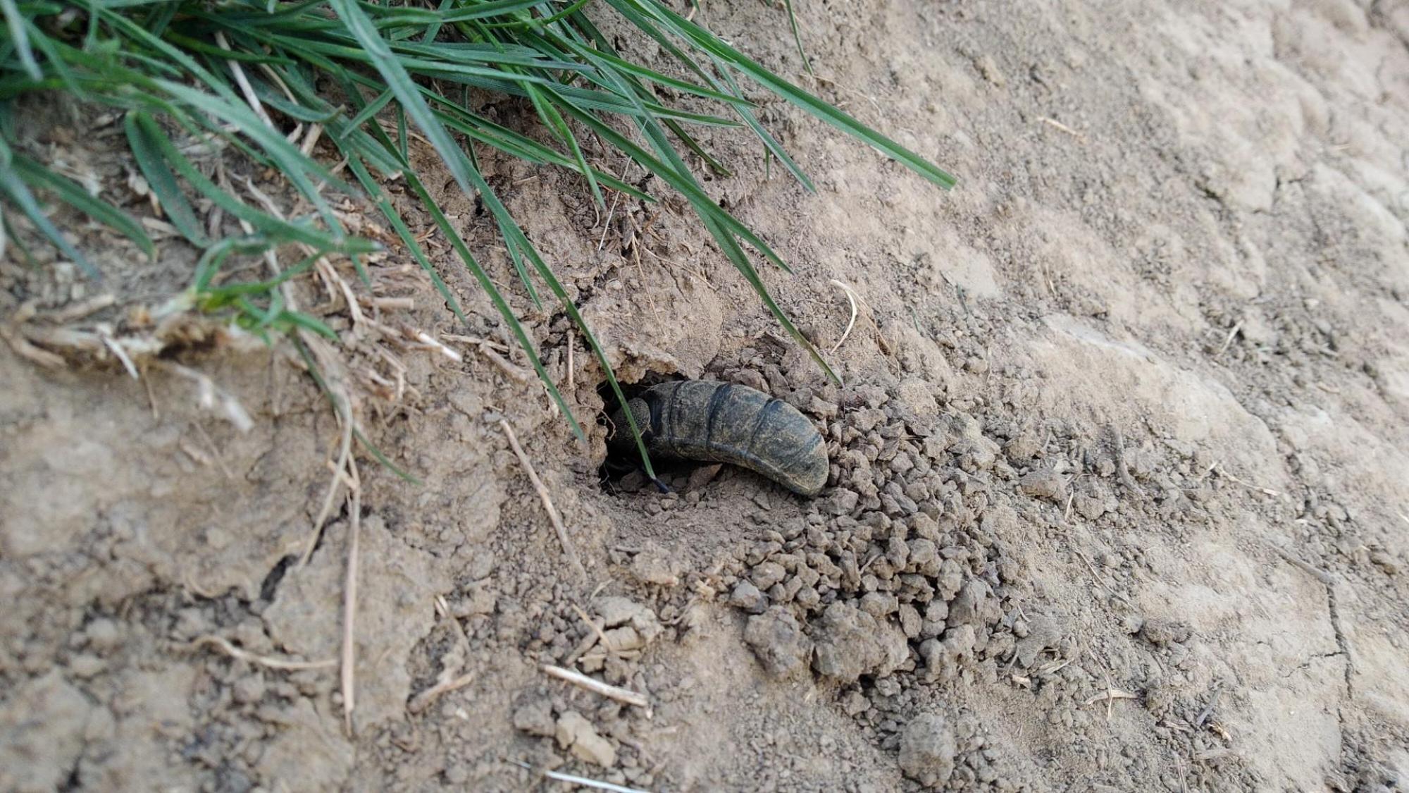 69dbce4d6753421e740d1dbc.jpg?width=2000&