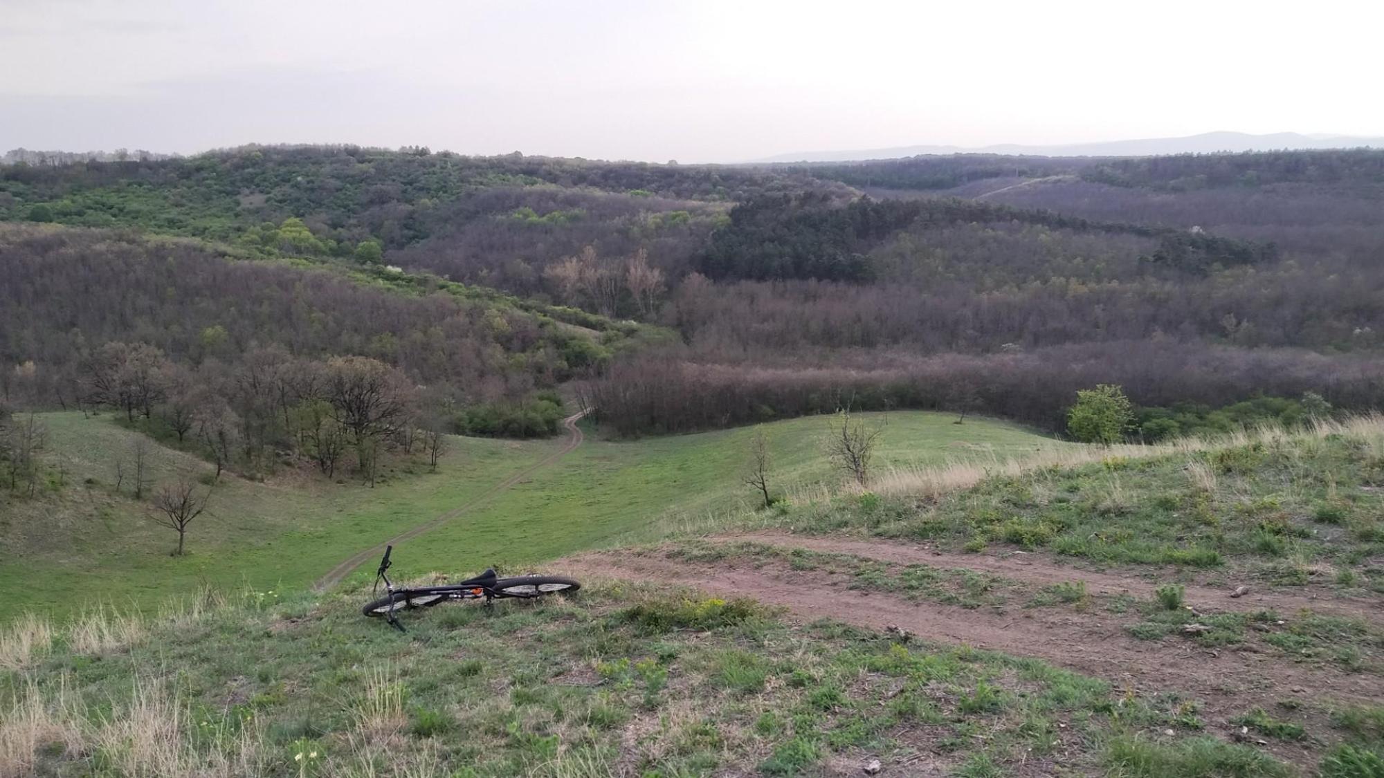 69dbce54bdb9ac33f015e027.jpg?width=2000&