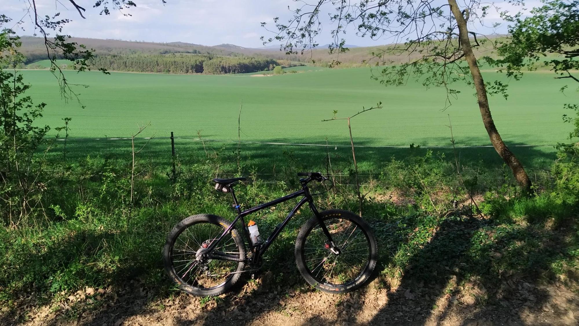 69e261b5ee3b441b7bd0ac44.jpg?width=2000&