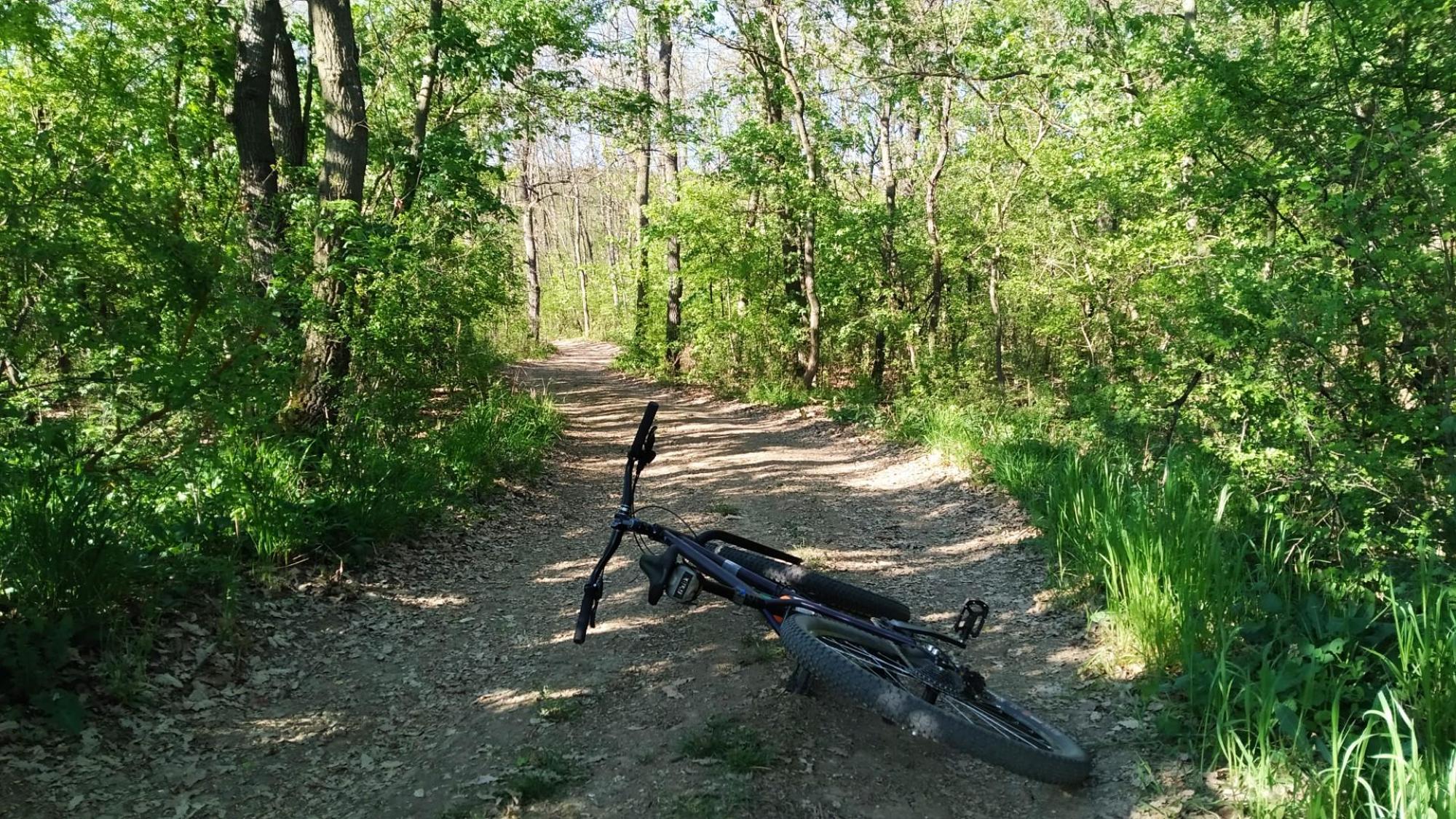 69eba113498b8978cb3fd281.jpg?width=2000&