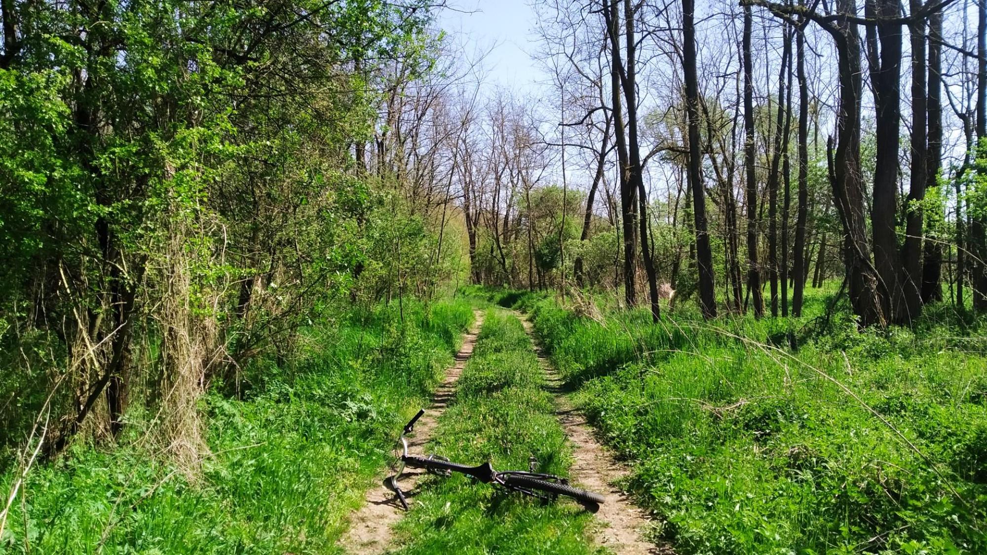 69ecd13437c5e15a741986fb.jpg?width=2000&